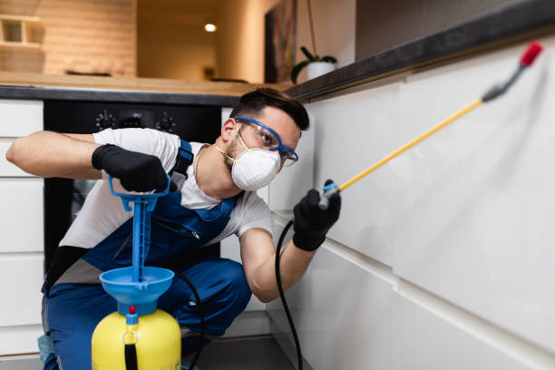 Best Exterminator Services  in Rainbow Park, FL