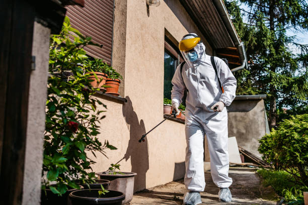Best Affordable Pest Control Services  in Rainbow Park, FL