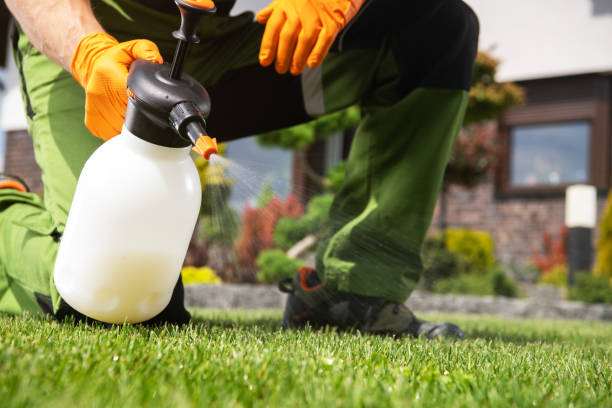 Best Emergency Pest Control  in Rainbow Park, FL