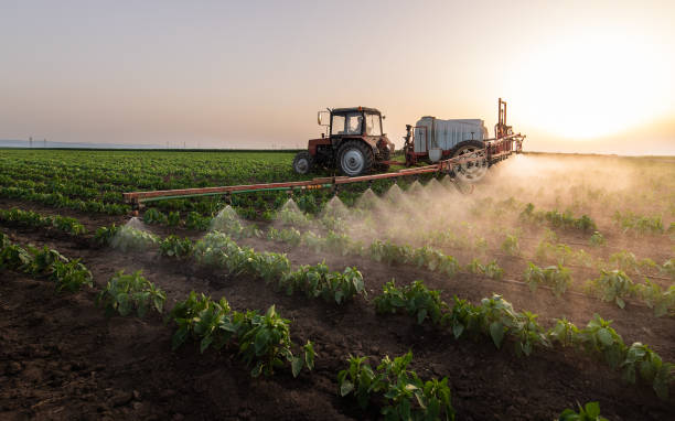 Best Mosquito Control Services  in Rainbow Park, FL