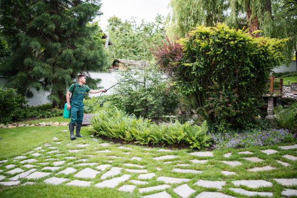 Best Pest Prevention Services  in Rainbow Park, FL