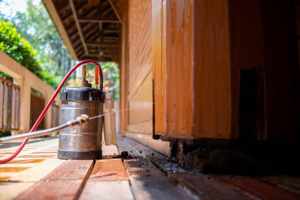 Best Termite Control Services  in Rainbow Park, FL