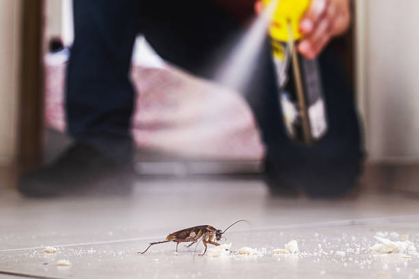 Best Pest Removal Services  in Rainbow Park, FL