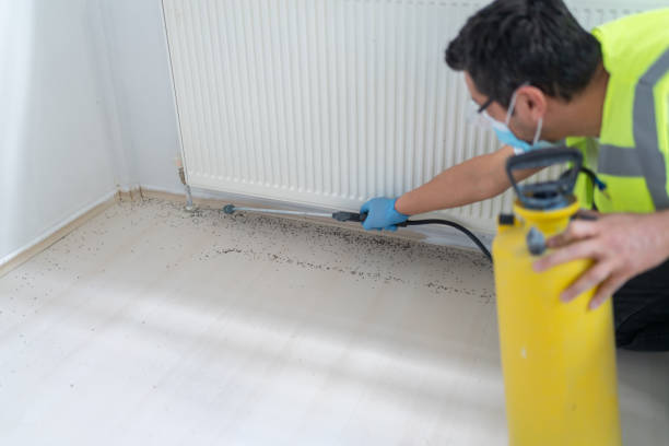 Best Emergency Pest Control  in Rainbow Park, FL