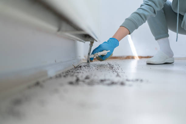 Trusted Rainbow Park, FL Pest Control Experts